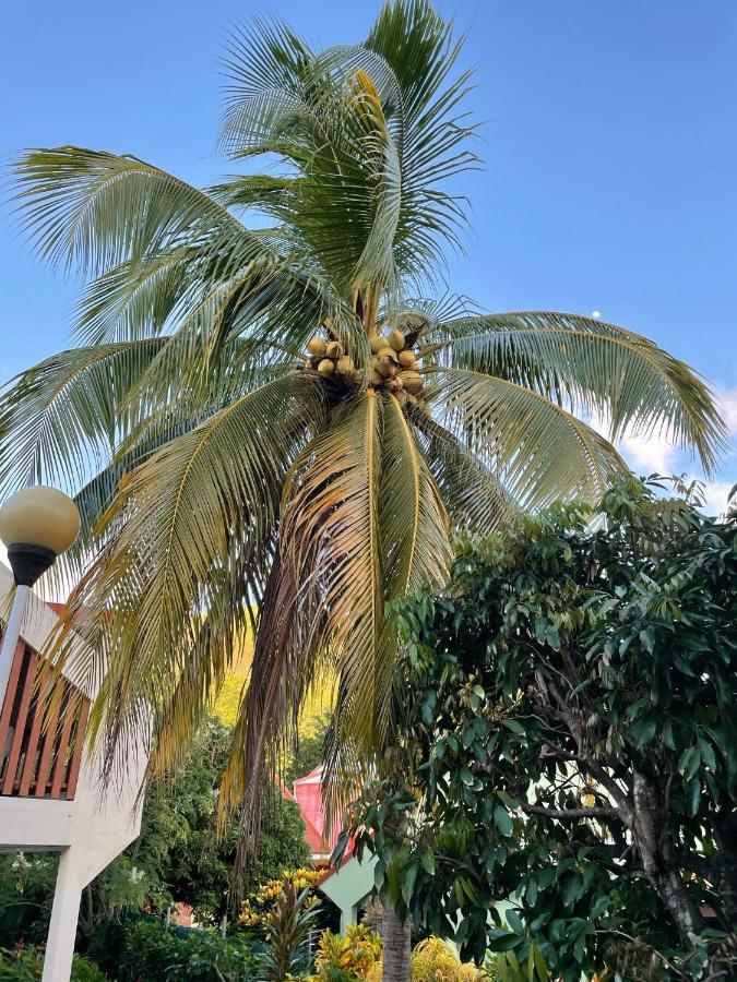 Residence Sucrerie Motel - Les Anses-D'Arlets - Martinique 외부 사진