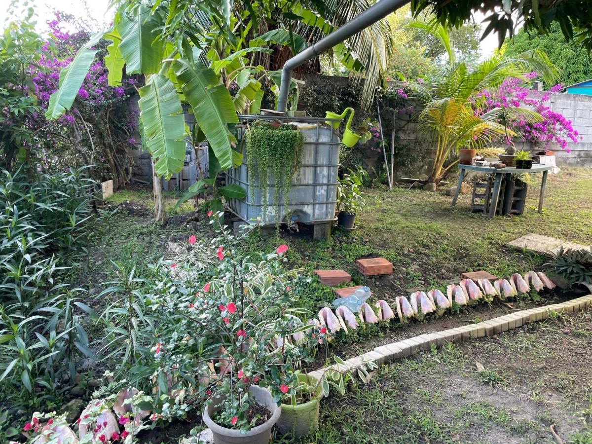 Residence Sucrerie Motel - Les Anses-D'Arlets - Martinique 외부 사진