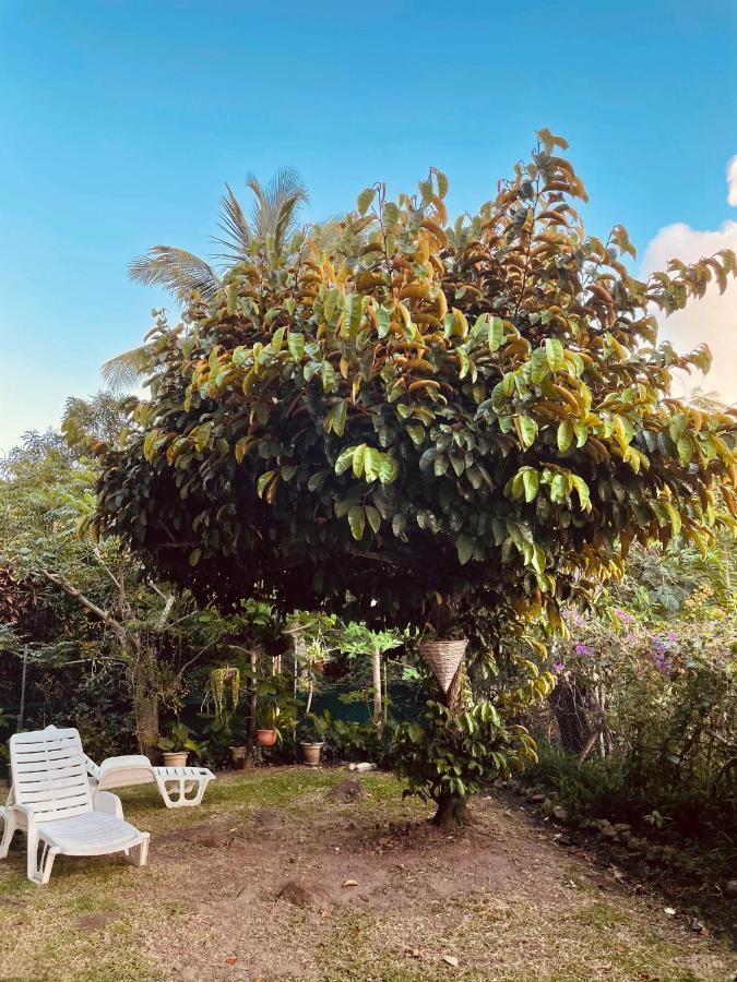 Residence Sucrerie Motel - Les Anses-D'Arlets - Martinique 외부 사진